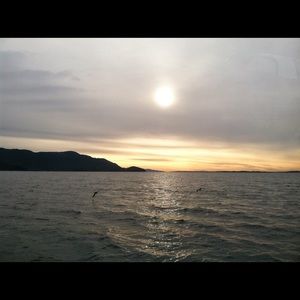 Meet your Posher, Savannah